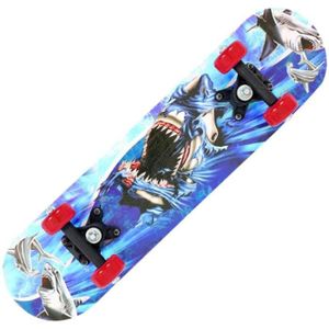 SKATEBOARD - LONGBOARD skateboard professionnel en érable avec motif requ