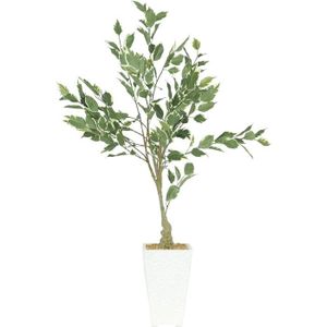 FLEUR ARTIFICIELLE Plante Verte Artificielle Ficus Panaché 100Cm Ficu