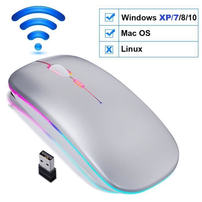 Souris sans fil USB + Bluetooth silencieux Rechargeable ergonomique Silver  LED