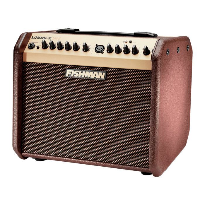 Fishman PRO-LBT-500 - Ampli acoustique Loudbox mini bluetooth - 60W