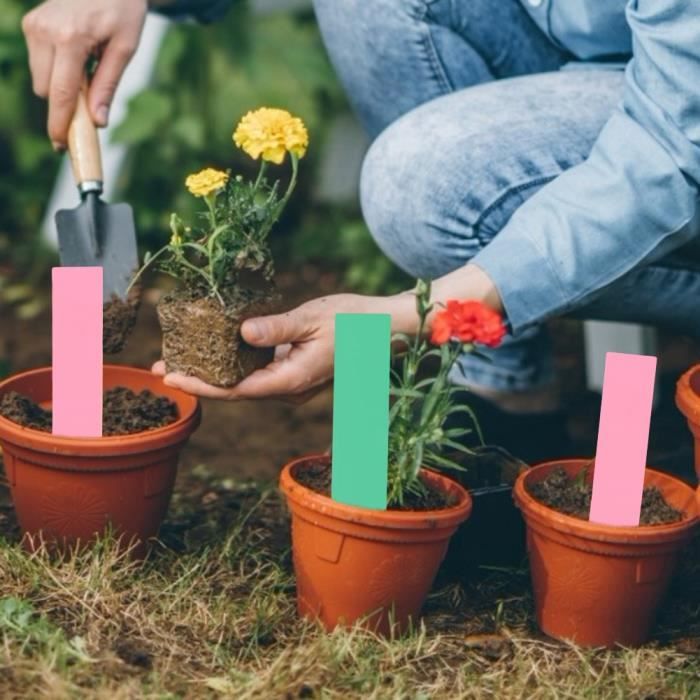 500 étiquettes Pour Plantes – PVC Imperméable, 10x2 Cm, Colorées, Pour Jardin Et Semis - 3