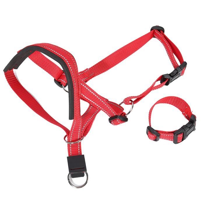 Meilleurs prix pour Vvikizy Muselière pour chien à licol réglable Collier de tête pour chien, muselière animalerie kit L S 42x35cm / 16,5x13,8 pouces
