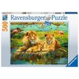 Puzzle 500 pièces - Lions dans la savane - Ravensburger - Pour adultes et adolescents-2