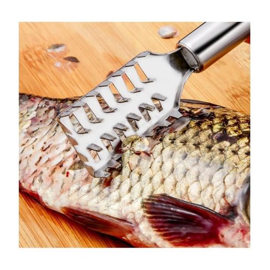 Grattoir à écailles De Poisson En Acier Inoxydable - Dents De Scie - 23 Cm - Pour Cuisine Professionnelle