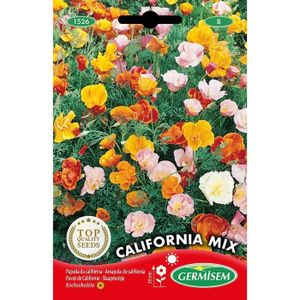 GRAINE - SEMENCE Graines Pavot De Californie California Mix[m123]
