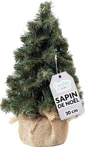 SAPIN - ARBRE DE NOËL Creative Home Mini Sapin de Noel Artificiel 30 cm 