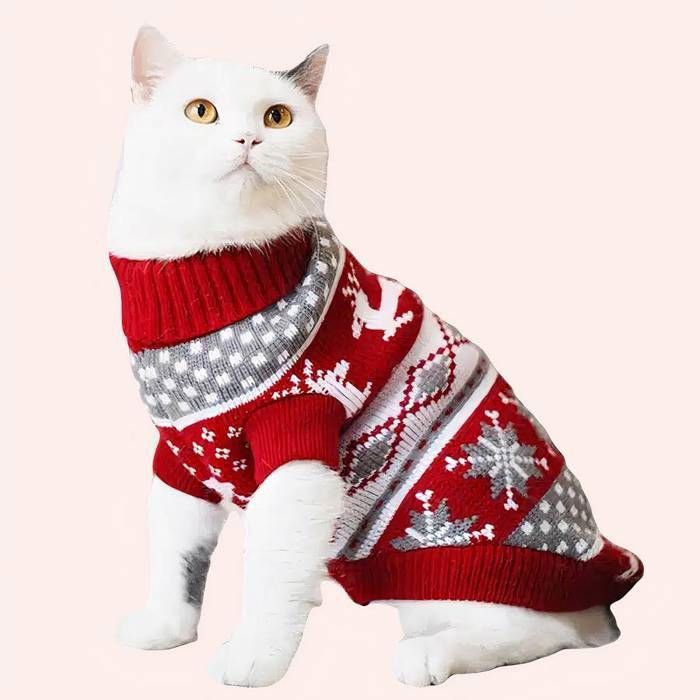 Meilleurs prix pour 1 pull col roulé en tricot chat M rouge 31*32*22CM