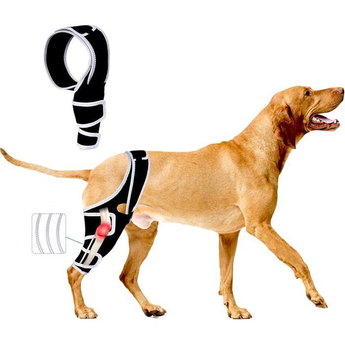 Comparer les prix de Genouillère réglable pour chien pour jambe arrière dysplasie de hanche patte arrière ou jambe avan PROTECTION DES PATTES -GUETRES