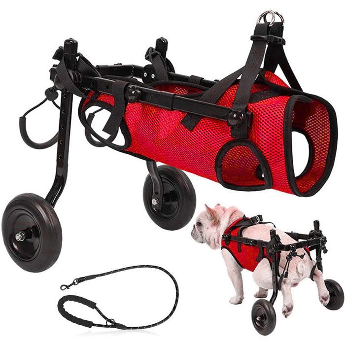 Fauteuil roulant réglable pour petits animaux de compagnie Aide à la mobilité pour pattes arrière paralysées (Rouge Taille S)