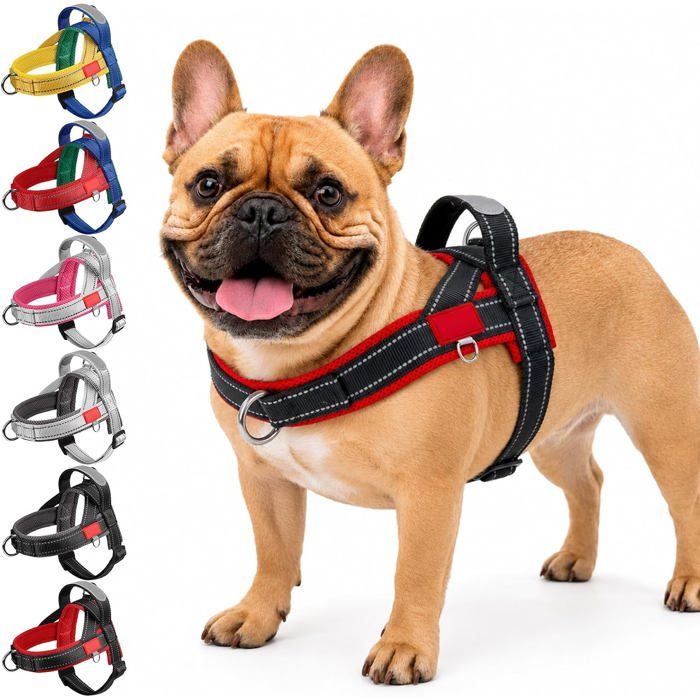 Harnais Anti-Traction Et Réfléchissant Pour Petits & Moyens Chiens Harnais Réglable Pour Chien Avec Poignée De Contrôle Et-A Harnais Anti-Traction Et Réfléchissant Pour Petits & Moyens Chiens Harnais Réglable Pour Chien Avec Poignée De Contrôle Et-A