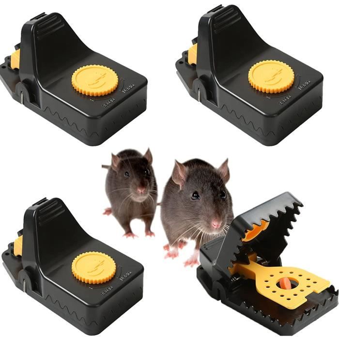 Lot De 5 Pièges à Souris Métalliques Puissants, Efficaces Pour Maison, Bureau, Jardin - 12