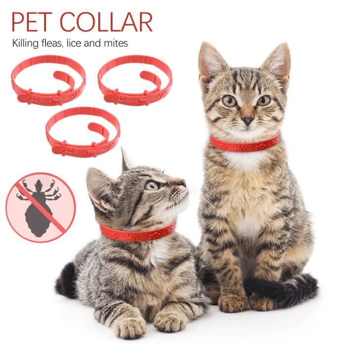 Collier Anti Puces Pour Chat Pour Animaux De Compagnie Cercle Aux Puces Rose Pour Tuer Les Poux Et Prevenir Le Parasite Yxy Cdiscount Maison