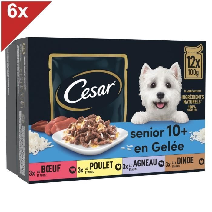 CESAR 72 Sachets fraîcheur en gelée 4 variétés pour chien senior 100g (6x12)