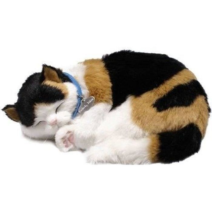 Adora 3pcs peluche jouets de chat portable peluche adorable chat de chat de chat de 