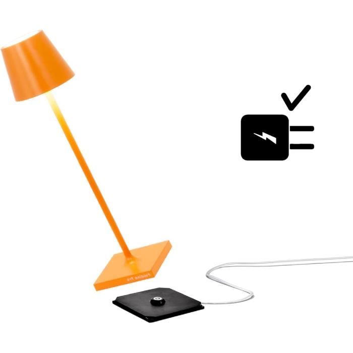 Lampe à Polymériser LED Dentaire 2300mW - Durcissement En 1 Seconde - Modèle 1s Sans Fil