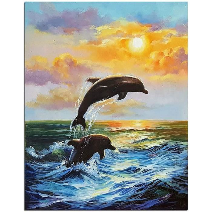 Acheter Cadre peinture par numéros Kits pour adultes Kits dauphin bricolage  artisanat coloriage par numéros peinture acrylique sur toile pour la  décoration intérieure 40x50