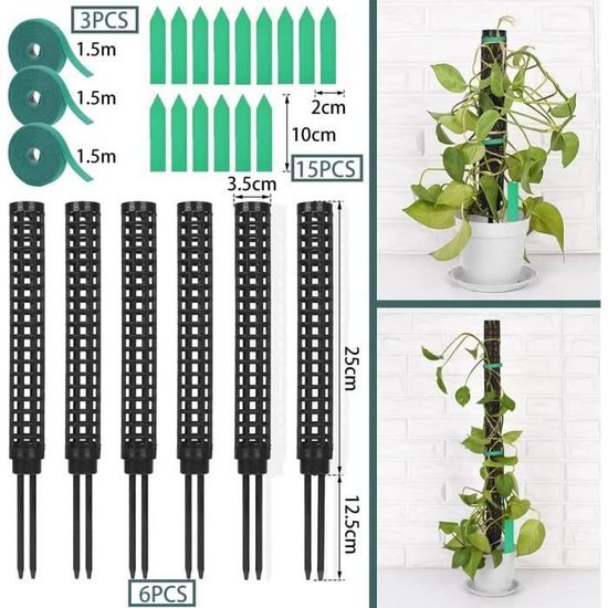 Tuteur Plante - Tuteur Plante Grimpante - pour La Maison Jardin Plante Tuteur Plante - Tuteur Plante Grimpante - pour La Maison Jardin Plante