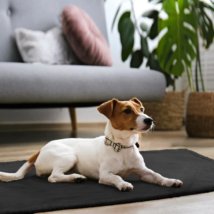 Waterproof dog throw blanket clearance