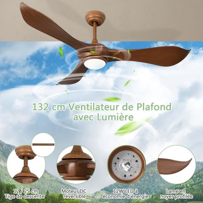 Ventilateur de plafond de 91,4 cm avec lumière et télécommande
