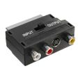 INLINE - Adaptateur Scart (in/out)-0