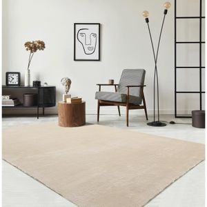 TAPIS Tapis de Salon ou chambre en beige 60x110 | Tapis poil ras moderne et doux | Rectangulaire | Interieur | Lavable  - The Carpet Loft