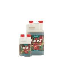 CANNA Boost Accelerator 1L