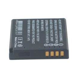 Batterie type PANASONIC CGA-S/106C