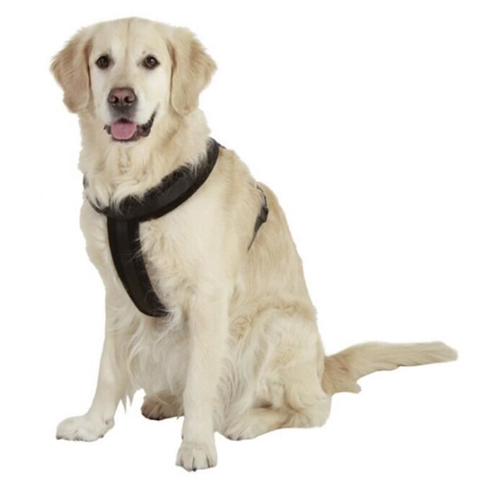 Harnais réglable Coffre chien Sangle avec D-ring - grande Chien 