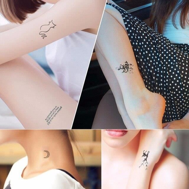 Vidéo d'un tatou sexy Vidéo d'un tatou sexy