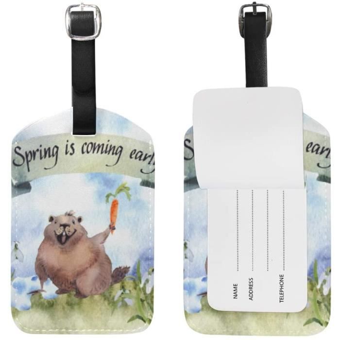 Lot De 2 étiquettes à Bagages, Motif Paresseux Mignon, Pyjama, Fête, Sac à Bagages, étiquettes De Voyage Avec Protection De Confidentialité