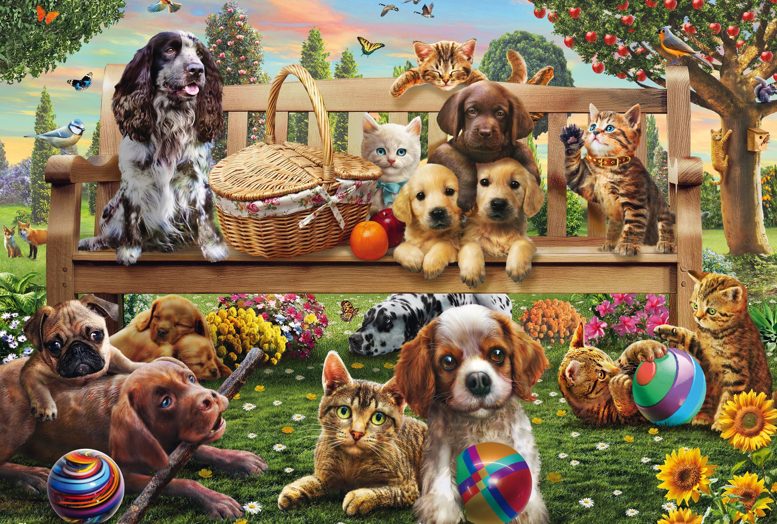 Jeux De Chiens Et De Chats