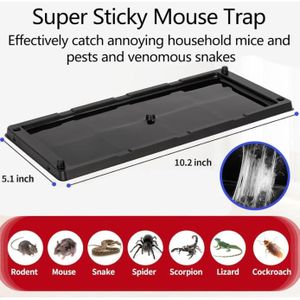 Rodi'CLAC Colle Piégeante Non Toxique – Tube 135g – Anti Rats