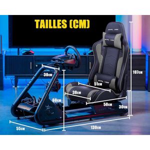 Support GTPlayer + Volant Logitech G923 - Pour PS5, PC, Simu Course, état Fonctionnel