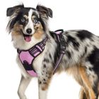 RABBTTGOO Rabbitgoo Harnais pour Chien Harnais Chien-Harnais respirant pour chien-Rembourré Ruban-Réglable-Rose taille L