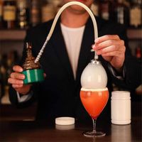 Fumoir À Cocktail, Pistolet À Fumée Portable Pour Boissons, Whisky