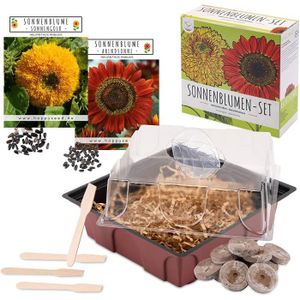 GRAINE - SEMENCE Set de plantation de tournesol - set de mini-serre, graines de tournesol & terre - idée de cadeau durable pour les amoureux des A6