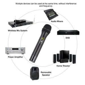 EPGVOTR – système de Microphone sans fil EP-200M UHF, avec effet ECHO,  triple basse, 200 canaux, 100 mètres, double micro portable entièrement en
