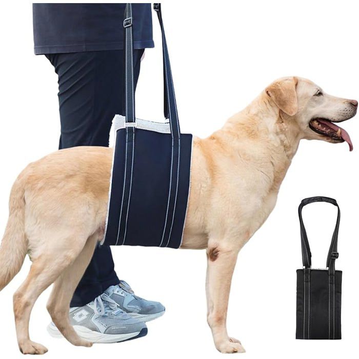 Meilleurs prix pour Harnais Levage pour ChienAi la MarcheRglable Ai la Marche pour ChienHarnais Levage Rglable pour ChienHarnais Sou HARNAIS ANIMAL