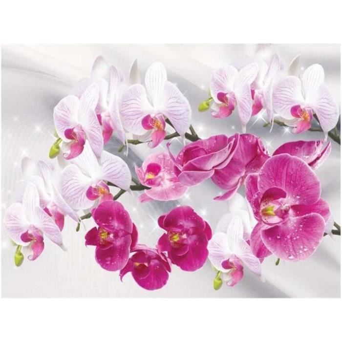 Kit Broderie Point De Croix Complet Orchidée - Toile Imprimée 11 Ct Pour Adultes Débutants