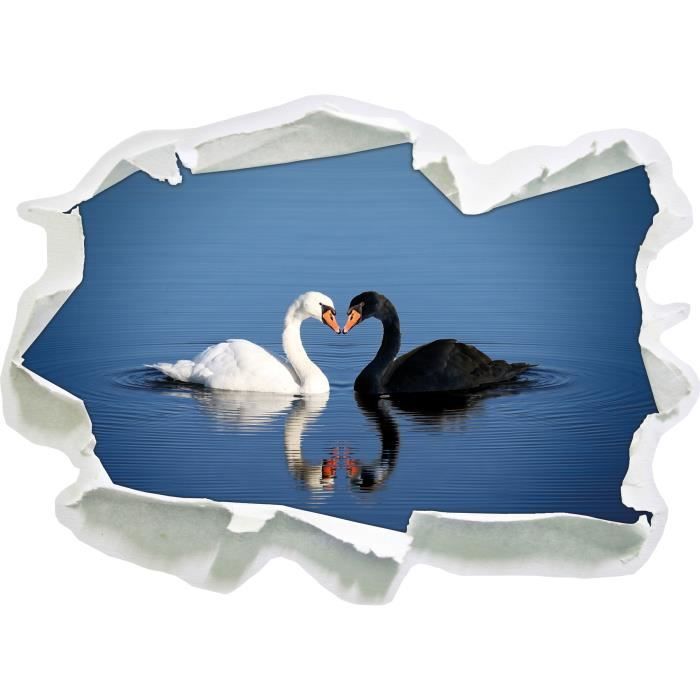 Cygnes D Amour Calins Le Regard 3d Mur Ou Un Autocollant De Porte Format 92x67cm Stickers Muraux Stickers Muraux Decoration Achat Vente Stickers Cdiscount
