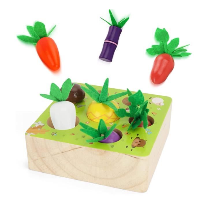 Jouet éducatif Bois 1-3 Ans - Jeu Tri Couleurs, Motricité Fine, 3 Couvercles Interchangeables, Sac Rangement