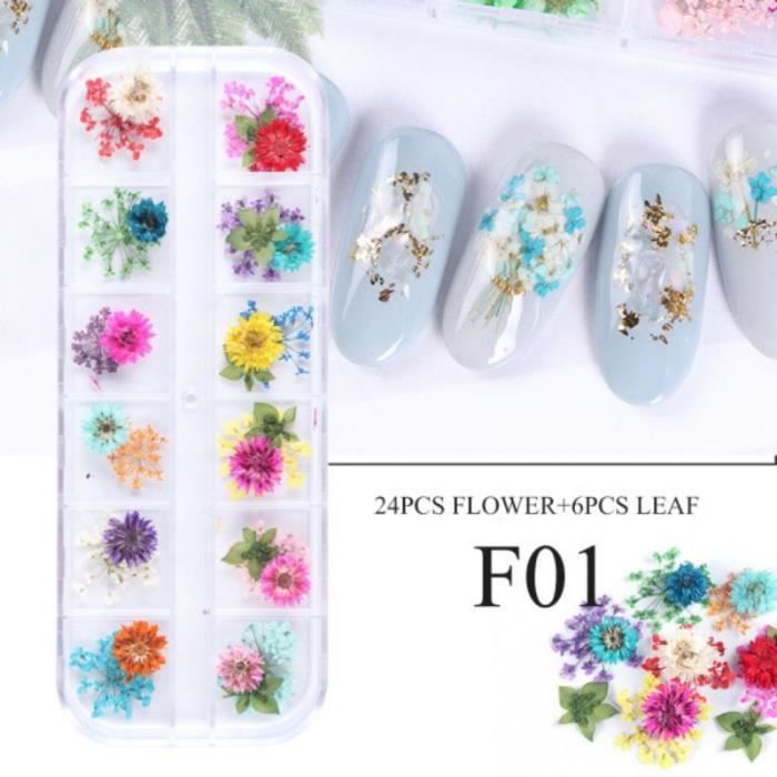 12 Fleurs Séchées Pour Ongles - Vraies Fleurs Naturelles - Déco Nail Art, Bijoux, DIY - Boîte Transparente
