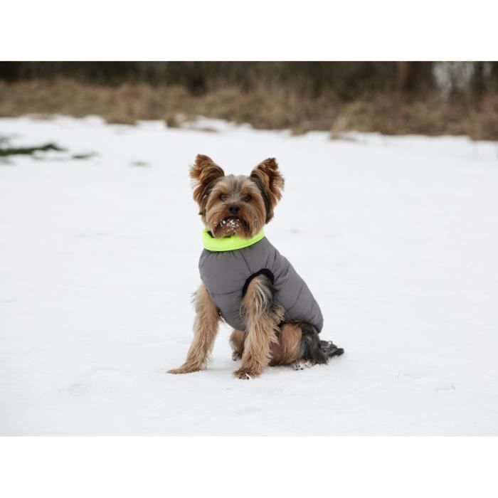 Comparer les prix de Manteau matelassé pour chien Kerbl Charmonix - grey - M