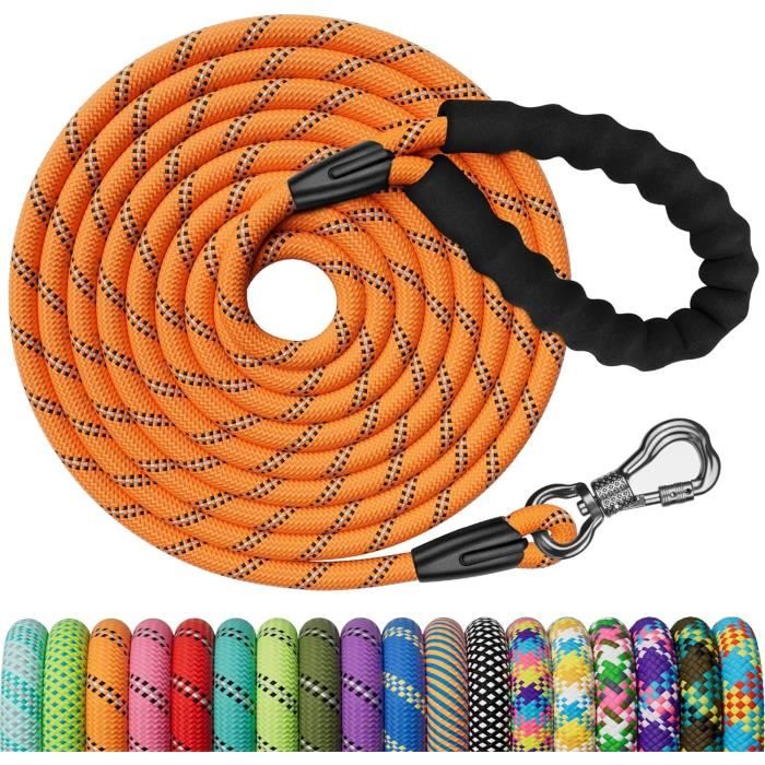 Lionto Laisse Retriever Laisse Pour Chien Laisse De Dressage Laisse De