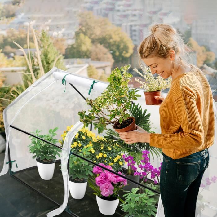 Mini-serre En Verre Pour Jeunes Pousses BIVITA - GEFU - Bleu - Porte - A Monter Soi-même - Jardin