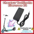 Xingfu-Chargeur 42v Evercross E4 pour trottinette électrique Evercross 36v chargeur 42v pour batterie 36v-0