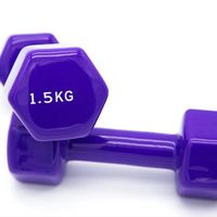 Haltères en vinyle 1,5 kg - lot de 2 - Coloris Violet