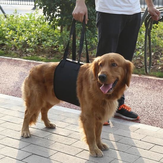 Dioche Support de chien Harnais de rééducation de levage et d'assistance pour chien noir avec poignée pour aide canine (XL)