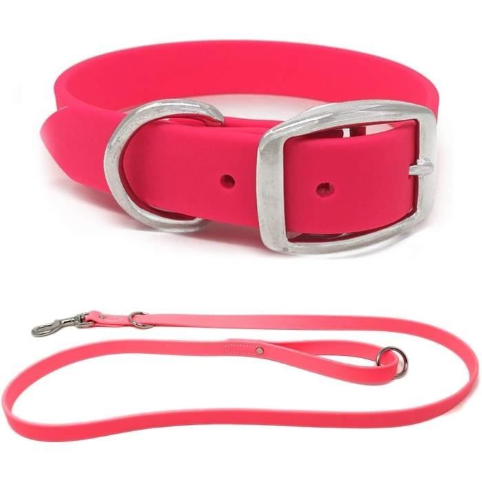 Collier Réfléchissant Pour Chien Roses&Poetry - Taille M Bleu-vert Réglable