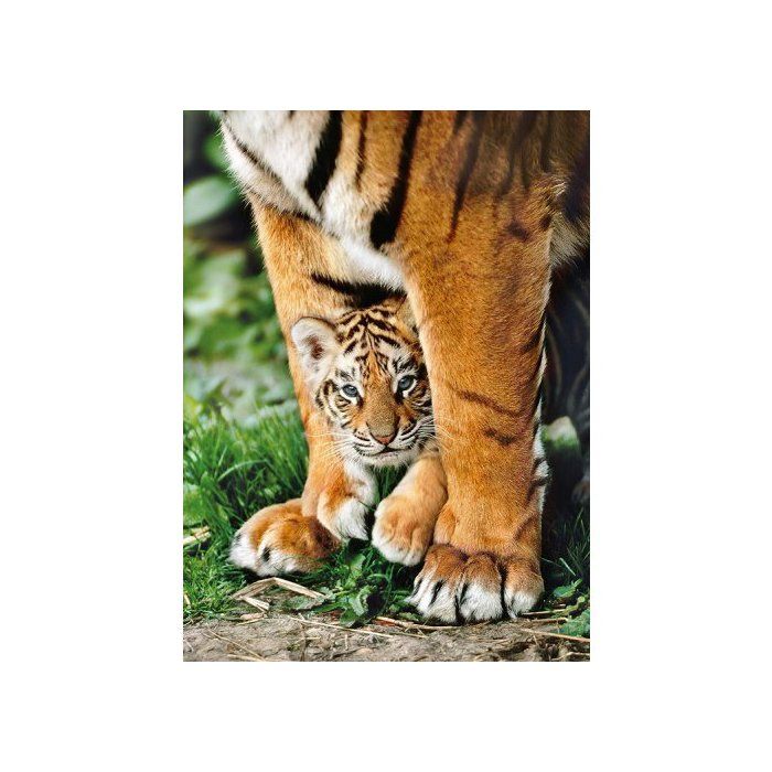 puzzle tigre du bengale et son bebe 500 pieces clementoni collection animaux sauvages cdiscount jeux jouets
